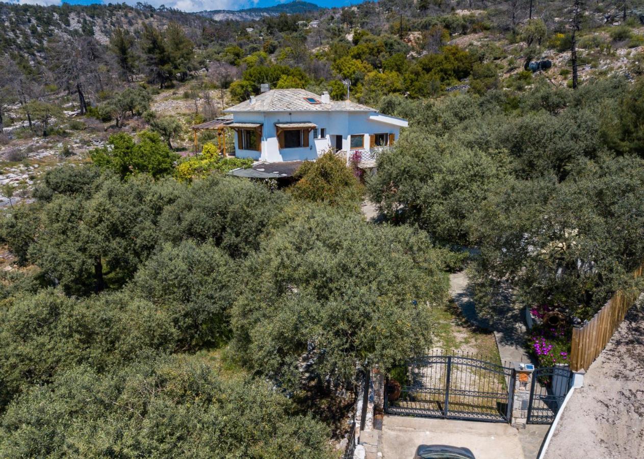 Villa Miriana Aliki Alikí Dış mekan fotoğraf